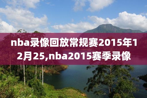 nba录像回放常规赛2015年12月25,nba2015赛季录像
