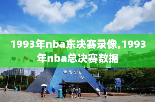 1993年nba东决赛录像,1993年nba总决赛数据