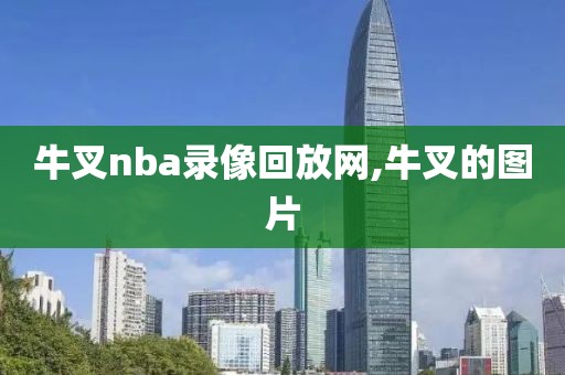 牛叉nba录像回放网,牛叉的图片