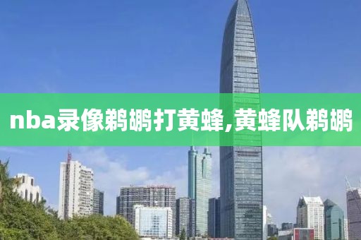 nba录像鹈鹕打黄蜂,黄蜂队鹈鹕