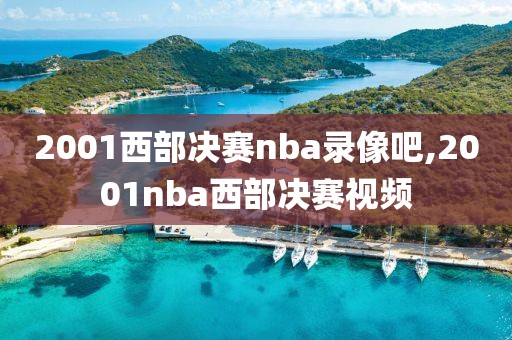 2001西部决赛nba录像吧,2001nba西部决赛视频