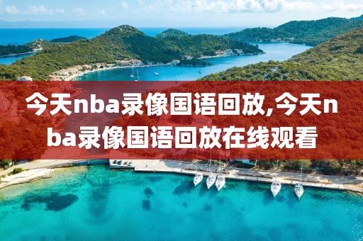 今天nba录像国语回放,今天nba录像国语回放在线观看