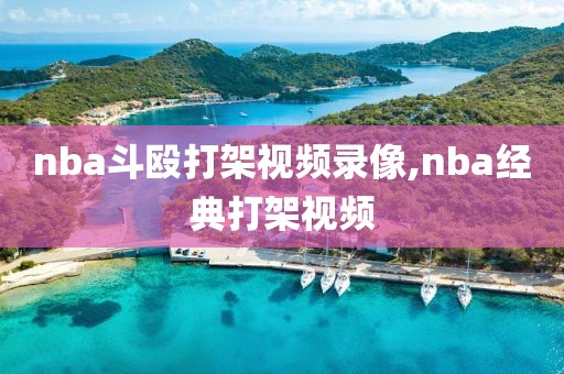 nba斗殴打架视频录像,nba经典打架视频