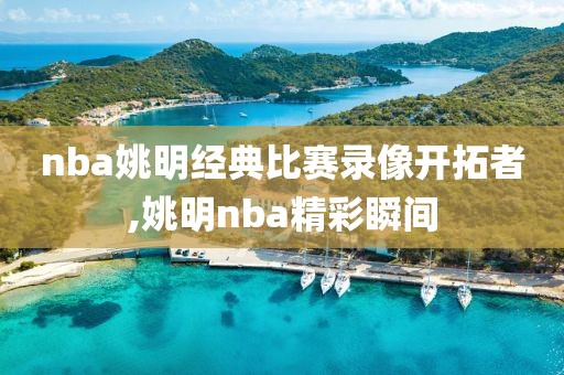 nba姚明经典比赛录像开拓者,姚明nba精彩瞬间