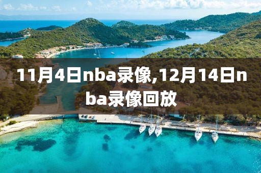 11月4日nba录像,12月14日nba录像回放
