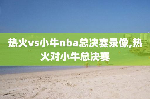 热火vs小牛nba总决赛录像,热火对小牛总决赛
