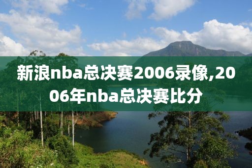 新浪nba总决赛2006录像,2006年nba总决赛比分