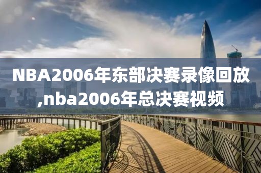 NBA2006年东部决赛录像回放,nba2006年总决赛视频