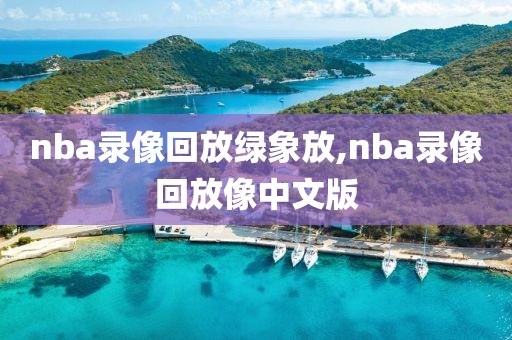 nba录像回放绿象放,nba录像回放像中文版